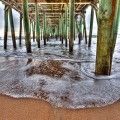 Under the Pier