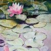 water lilies