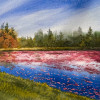 ricker s bog