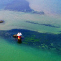 5 bug light